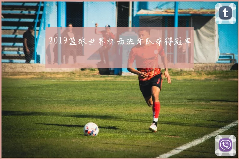 2019篮球世界杯西班牙队夺得冠军