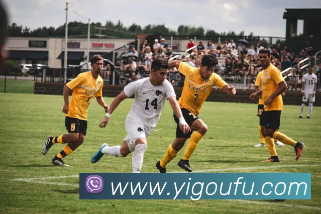 云开体育app下载安装最新版(中国)有限公司 - 官网发展历程